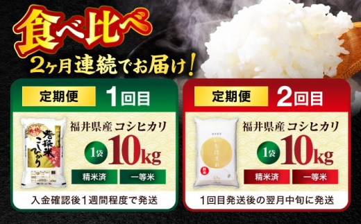 【2回定期便】【福井県産】 1回目：コシヒカリ 白米 10kg 2回目： いちほまれ 白米 10kg 福井県米 / コシヒカリ発祥 ブランド 特A常連 小浜市 / 若狭ふれあい市場 [BFEL052]