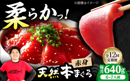 【全12回定期便】たね熟天然本まぐろ赤身(640g) [AOCE018] まぐろ まぐろ まぐろ まぐろ まぐろ まぐろ