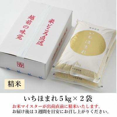 ふるさと納税 あわら市 【令和6年産】いちほまれ 精米 5kg×2袋(計10kg)《お米マイスターが発送直前に精米!》 |  | 03