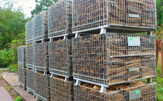 一つのコンテナには約500㎏の未乾燥薪が入っています。