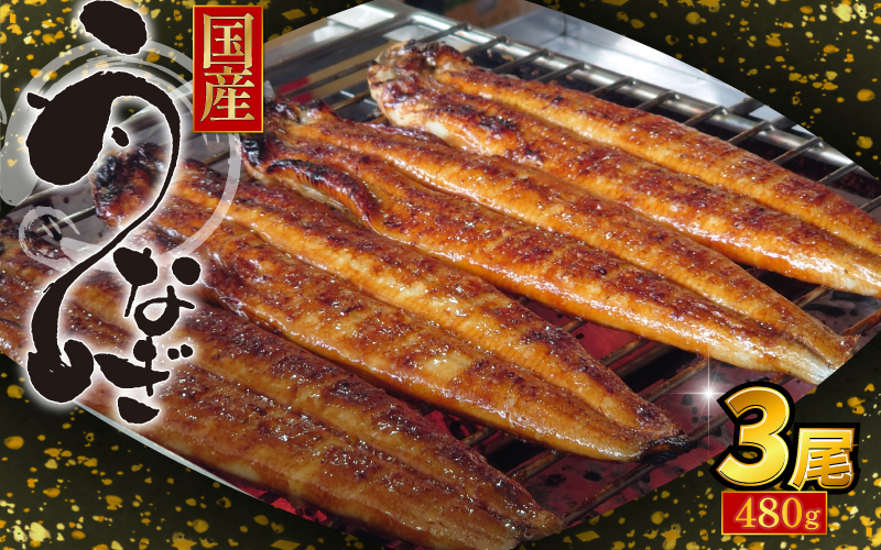 国産 うなぎ 蒲焼 3尾（約480g）冷蔵 特上うなぎ 頭付き かば焼き うなぎ蒲焼き 鰻 土用の丑の日 丑の日 夏 スタミナ たれ 秘伝 うな重 ひつまぶし 人気 地元で人気 おすすめ タレ 焼き 