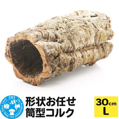 ふるさと納税 邑楽町 形状お任せ 筒型コルク Lサイズ 長さ30cm エアプランツ|09_chm-cl0101db