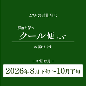 シャインマスカット 【2026年発送 先行予約】山梨県産シャインマスカット3kg フルーツ