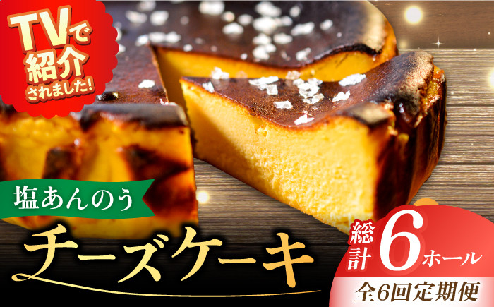 
            【全6回定期便】【ヒルナンデスで紹介されました！】 五島列島 チーズケーキ 塩あんのう ケーキ 塩 しお ソルト いも 芋 スイーツ お菓子 菓子 【虎屋】 [RBA018]
          