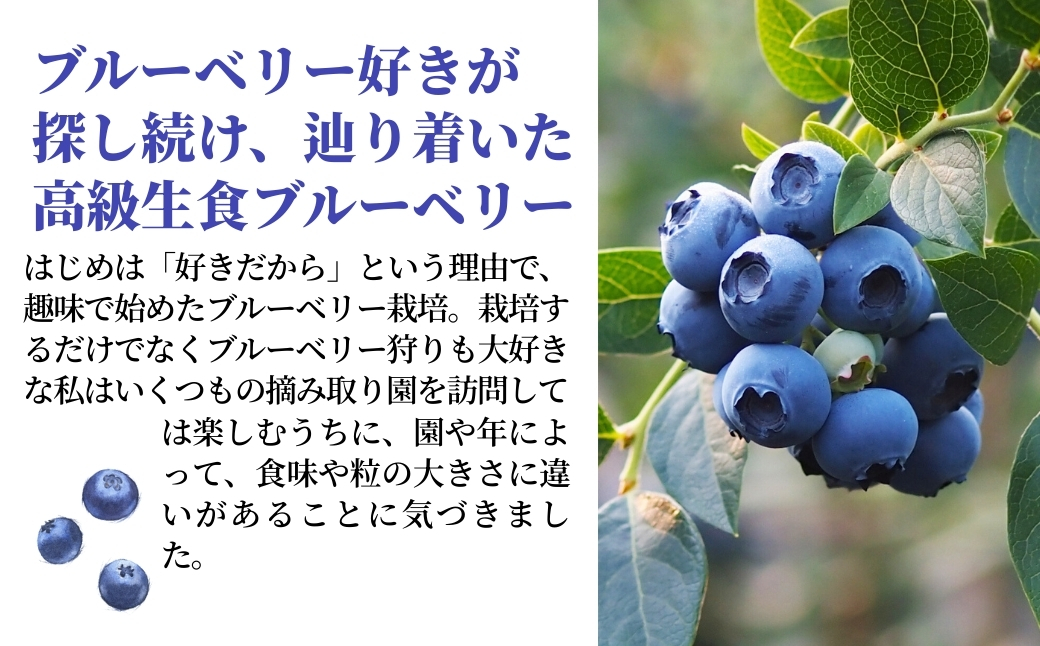 冷凍ブルーベリー５００ｇ×２袋