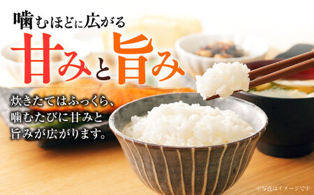 【先行予約】 【令和7年度】 【全6回定期便】 くまさんの輝き 白米 5kg 計30kg（2025年10月下旬ごろ順次発送）【坂本農園】[AYCC029]