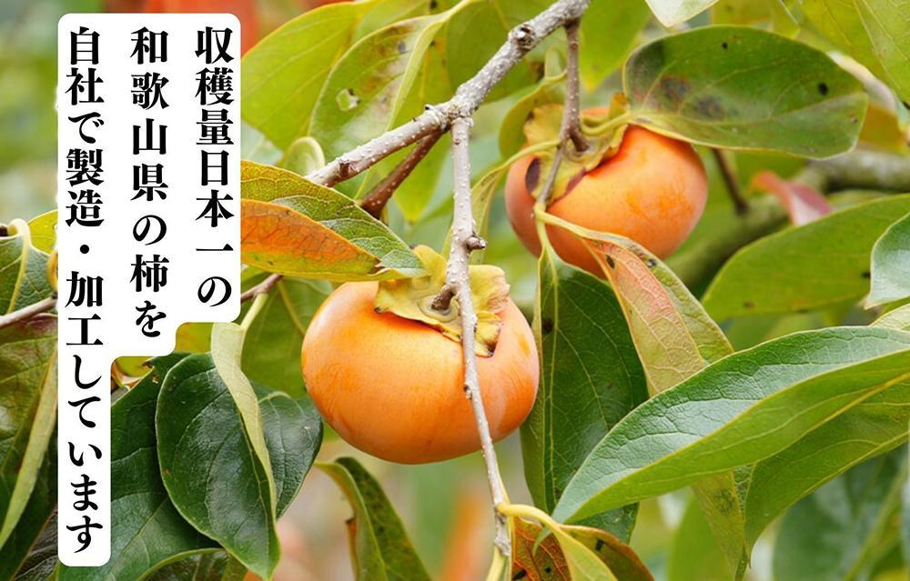 ドライフルーツ 柿チップ 400g ( 40g × 10袋 ) 和歌山県産 果物使用 自社製造 【みかんの会】 AX57_イメージ3