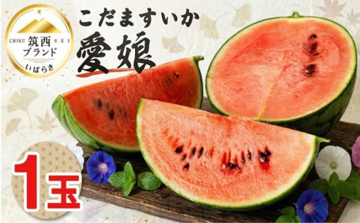 [2027年発送] こだますいか 愛娘 1玉 2027年産 先行予約 筑西ブランド こだまスイカ 小玉スイカ すいか スイカ フルーツ 果物 西瓜 小玉西瓜 初夏 夏 期間限定 人気 水分 たっぷり 新鮮 旬 初夏 夏 小さめ 食べやすい 甘い 茨城 関東 筑西