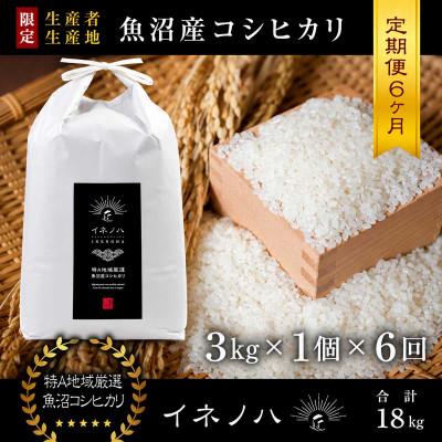 ふるさと納税 十日町市 【毎月定期便】魚沼産コシヒカリ「イネノハ」精米(3kg×1個)×6回【合計18kg】全6回