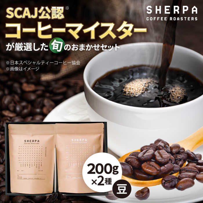 【ふるさと納税】コーヒー コーヒー豆 SHERPA COFFEE ROASTERS 季節のおすすめおまかせセット 200g×2パック 飲料類 飲み物 ドリンク 珈琲豆 珈琲 コーヒー 豆 焙煎 ブレンド ブレンドコーヒー ストレート コク 香り セット ギフト 人気 岐阜 岐阜市 / いわと[ANGC003]
