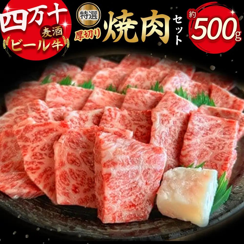 四万十麦酒牛 厚切り特選焼き肉セット（500g）  モモ ウデ バラ肉 肩ロース 詰め合わせ 霜降り 赤身 焼き肉 麦酒牛 冷凍 ／Asz-A07