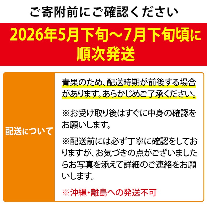 【0255911a】＜数量限定＞南国鹿児島県産の太陽の恵み！完熟マンゴー(計2.5kg以上・5-7個入り) 果物 フルーツ 果実 デザート 国産 冷蔵【東串良物産館ルピノンの里】