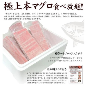 本マグロ赤身300g　解凍レシピ付　1サクずつ真空包装