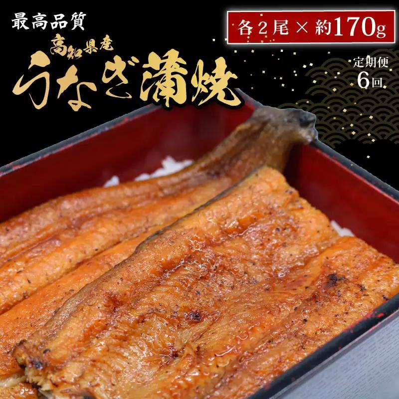 【6回定期便】 うなぎ蒲焼き 約170g2尾 うなぎ蒲焼き高知県産