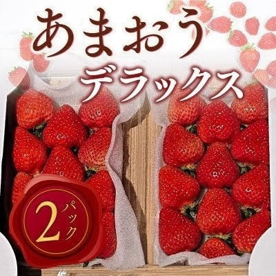 【2027年2月より順次発送】あまおうデラックス(約250-270g×2パック) (宇美町)【配送不可地域：離島】