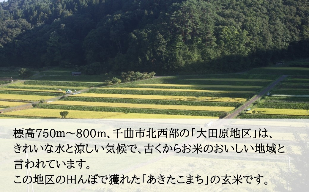 【2026年先行予約】信州大田原産 新米 あきたこまち玄米 5kg~10kg | あきたこまち 玄米 お米 5キロ 10キロ