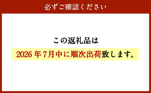 ＜宮崎県産ライチ600g＞