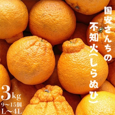 ＼糖度14.0以上 酸1.4以下/糖酸選別品 不知火 (しらぬひ) 3kg【C20−15】【配送不可地域：離島】【1094588】