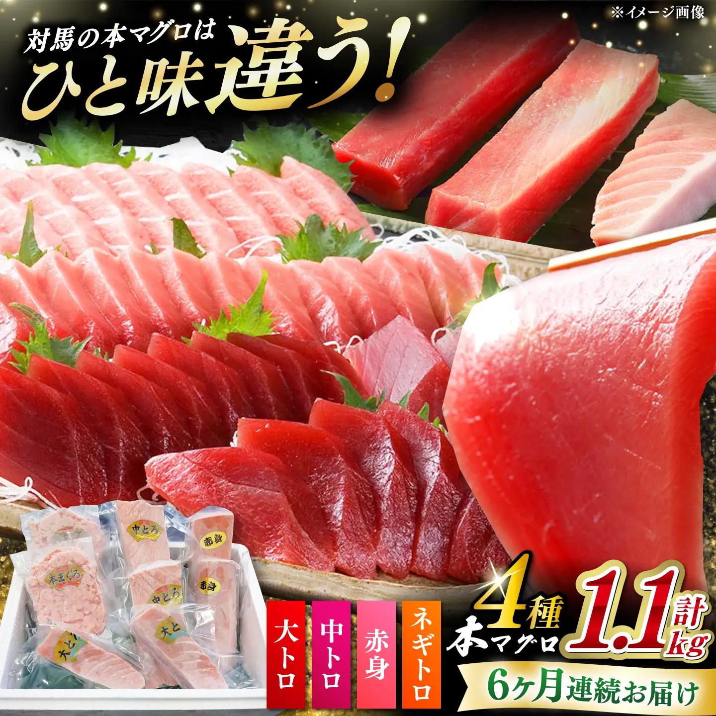 【全6回定期便】 対馬産 本マグロ 4種 計1.1kg（赤身/中トロ/大トロ/ネギトロ）[WAH038] マグロ まぐろ トロ