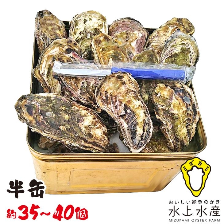 
                  【能登半島地震復興支援】【発送時期が選べる】水上水産の能登のかき 半缶ガンガン焼き（約35～40個・ナイフ付） ※離島への配送不可 石川県 七尾市 能登 ※2027年1月～発送
                