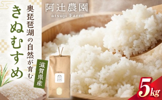 <先行予約>【令和8年産 新米】米 白米 きぬむすめ5kg 滋賀県長浜市/阿辻農園 [AQAW015] 米 お米 ご飯 ごはん ゴハン 近江米 滋賀県産 長浜市産 こめ 白米 精米 お米  食品 国産 炊きたて 米ギフト ブランド米  食卓 美味しい 人気 きぬむすめ キヌムスメ 5キロ 5キロ ご飯のお供 お弁当 おにぎり おこめ 炊き込みごはん