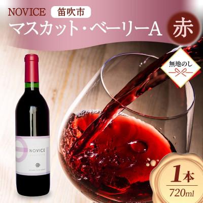 ふるさと納税 笛吹市 【無地熨斗】NOVICE マスカット・ベーリーA 720ml×1本 日川中央葡萄酒 山梨県笛吹市