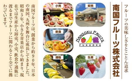 あまおうジェラート 1000ml 南国フルーツ株式会社《30日以内に出荷予定(土日祝除く)》福岡県 鞍手町 あまおう いちご ジェラート 果物 送料無料