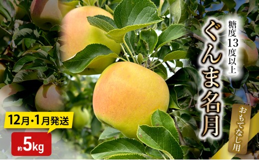りんご【12月・1月発送】糖度13度以上 ぐんま名月 おもてなし用 家庭用 約5kg【青森りんご】
