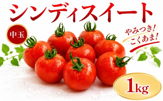 ミディトマト シンディスイート 1kg 甘い 完熟 新鮮 産地直送 トマト フレッシュ 中玉トマト ミニトマト プチトマト フルーツトマト 家庭用 贈答用 お取り寄せ サラダ スープ パスタ こだわり栽培 野菜セット 送料無料 みよし 徳島県 三好市