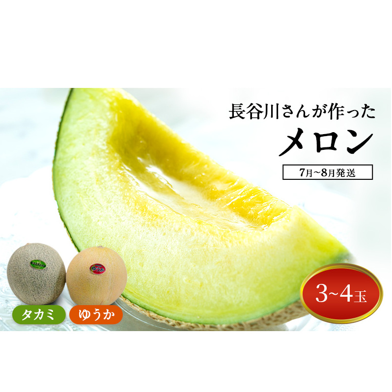 【先行予約2025年産】長谷川さんが作ったメロン3～4個（ゆうか・タカミ）　7月～8月発送　青森県鰺ヶ沢町産 果物類 メロン青肉 フルーツ 3～4玉 
