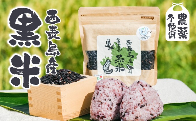 
            ⼤浜農園の⿊⽶8個セット　（農薬不使⽤）【米 黒米 無農薬 竹富 竹富島 西表 西表島】
          