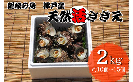 1401　隠岐の島津戸産天然活さざえ2㎏