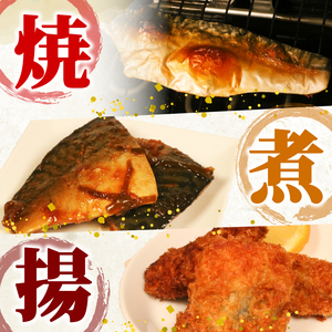 サバフィレ 800g ( 400g×2袋 ) | 鯖 サバ さば 無塩サバ 魚 魚介 冷凍 国産 焼き物 焼きサバ 真サバ ゴマさば 煮物 ご飯のお供 1万円 10000円 三陸産 岩手県 大船渡市