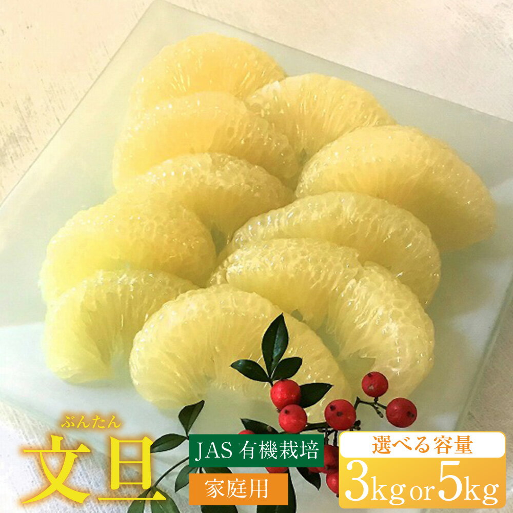 【ふるさと納税】JAS有機栽培文旦3kg または 5kg 家庭用 文旦 ぶんたん みかん 柑橘 フルーツ 果物 お取り寄せ 高知県 香美市 送料無料【2026年2月上旬～3月上旬迄発送予定】
