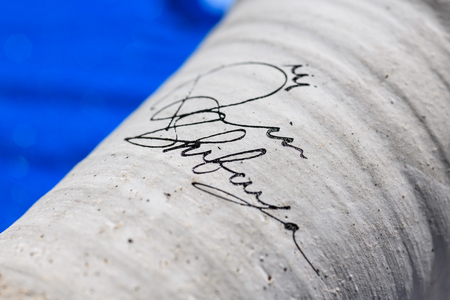 アイドルマスター シンデレラガールズ 信楽焼フリーカップ【藤居 朋】[2563]