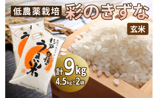 低農薬栽培の彩のきずな《玄米》9kg (4.5kg×2袋)｜おいしい お米 コメ こめ ご飯 ごはん 白米 玄米 お取り寄せ 直送 贈り物 贈答品 ふるさと納税 埼玉 杉戸 [0656]