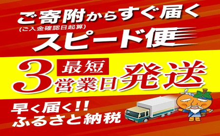 【最短3日発送】うなぎ 蒲焼き 3尾| 鰻 国産