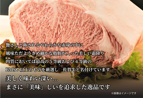 《A4～A5》佐賀牛モモステーキ 約500g （100g×5p） 佐賀牛 モモ肉 ステーキ 焼肉 BBQ 冷凍 小分け アウトドア