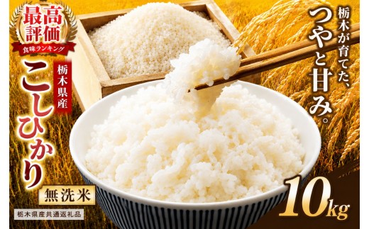 【栃木県共通返礼品】栃木県産コシヒカリ 無洗米 10kg | コシヒカリ こしひかり コメ お米 米 白米 栃木県産 ご飯 飯 御飯 主食 kome 栃木県 那珂川町 送料無料
