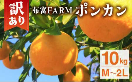 訳ありポンカン　M?２Lサイズ 10kg　NT3 [NT3] 【布富FARM】