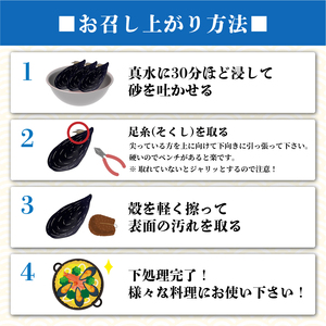 【8月～11月発送】 国産 活ムール貝 3.3kg ＼ ムール貝 ／