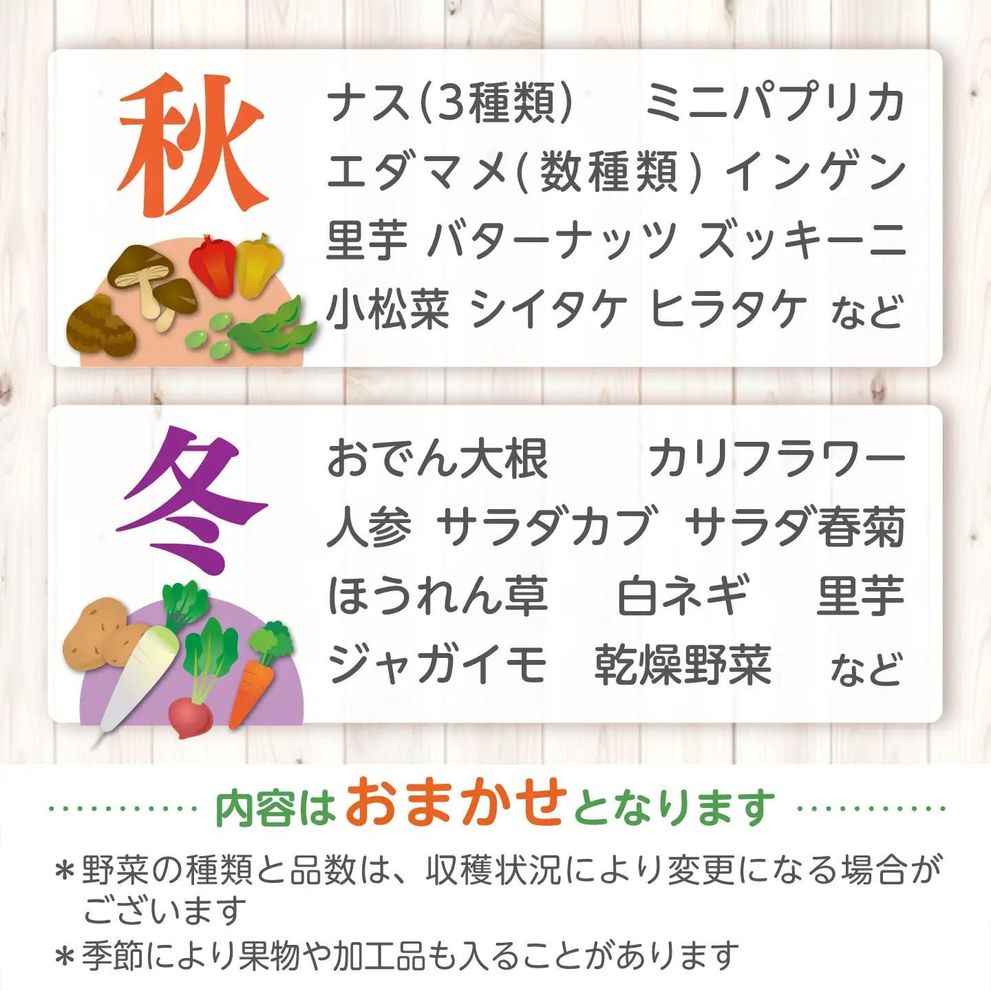 【全4回定期便】旬の野菜セットMサイズ 島根県松江市/須山農園[ALBD008]栽培期間中 農薬不使用  野菜 セット