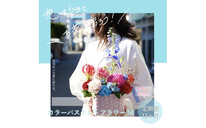 【12回定期便】季節の生花カラーバスケットフラワーM / お花 フラワー カラーバスケット アレンジ 映える リビング 装飾 作家もの カゴ 定期便 人気 季節の生花 収納バスケット ハイセンス ギフト 高知【株式会社tomoni】 [ATCG061]