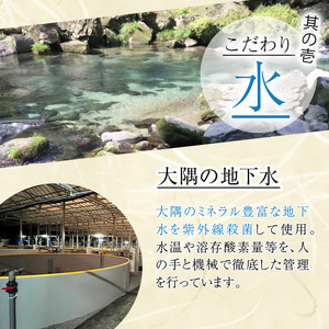 うなぎ 無投薬 鹿児島県産 (1尾あたり136g～155g×4尾) うなぎ 【西日本養鰻】A584