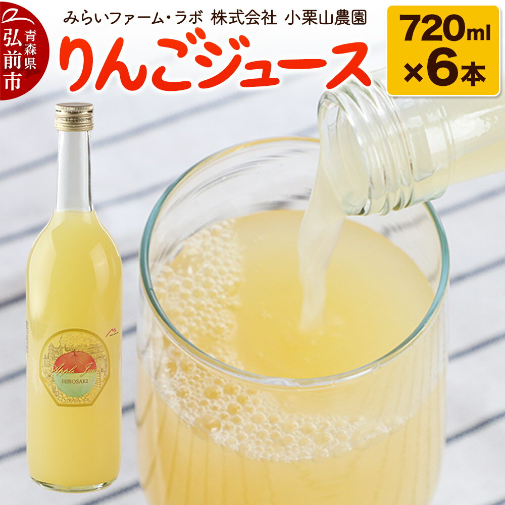 【ふるさと納税】りんごジュース 720ml × 6本