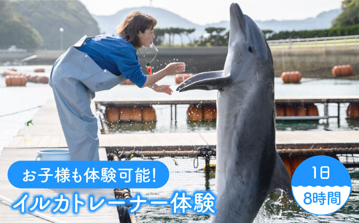 1日イルカトレーナー体験 《壱岐市》【壱岐イルカパーク＆リゾート】[JBF002]   5万 50000 50000円 5万円