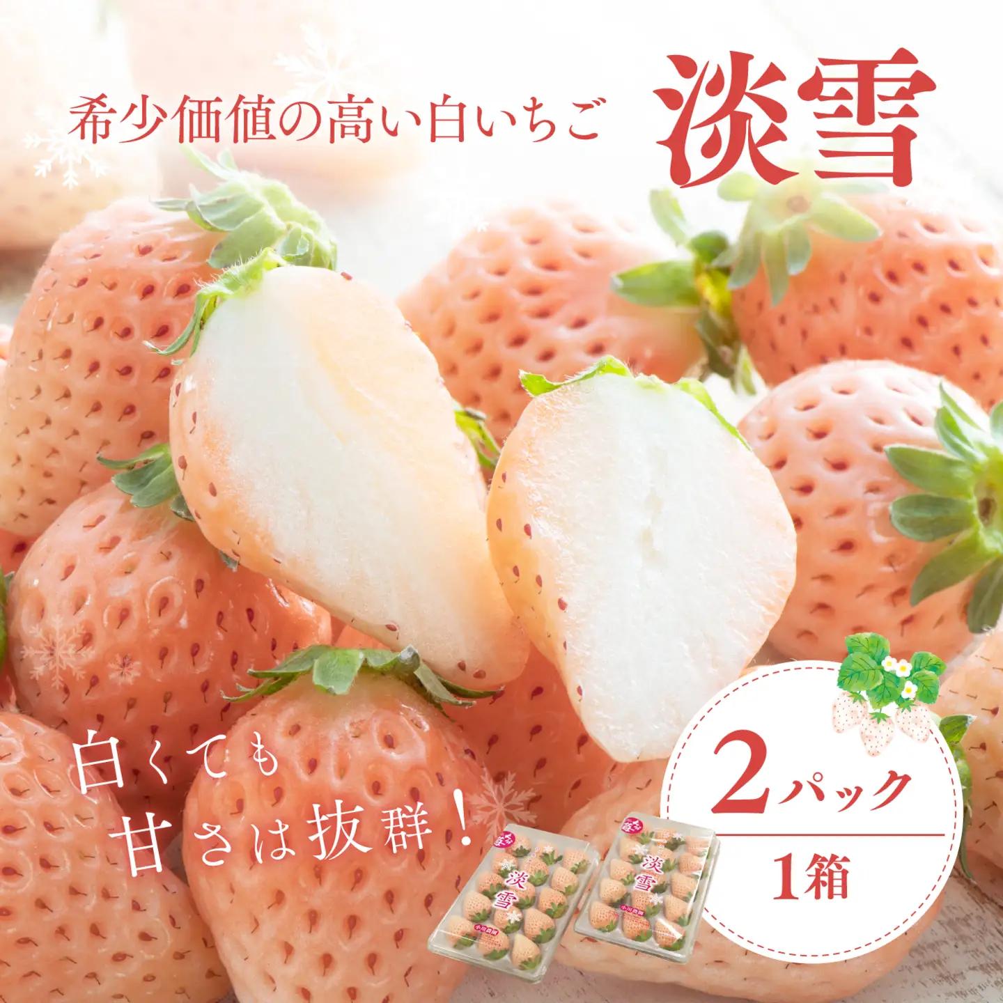【先行予約】白いちご「淡雪」・2パック入×1箱 | 豊後高田市 白いちご