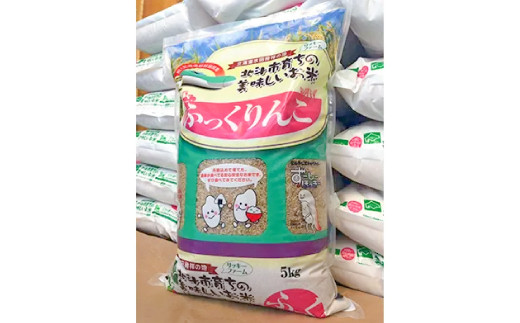 
【特A受賞】【玄米】北海道産 特Aランク ふっくりんこ5kg HOKK013
