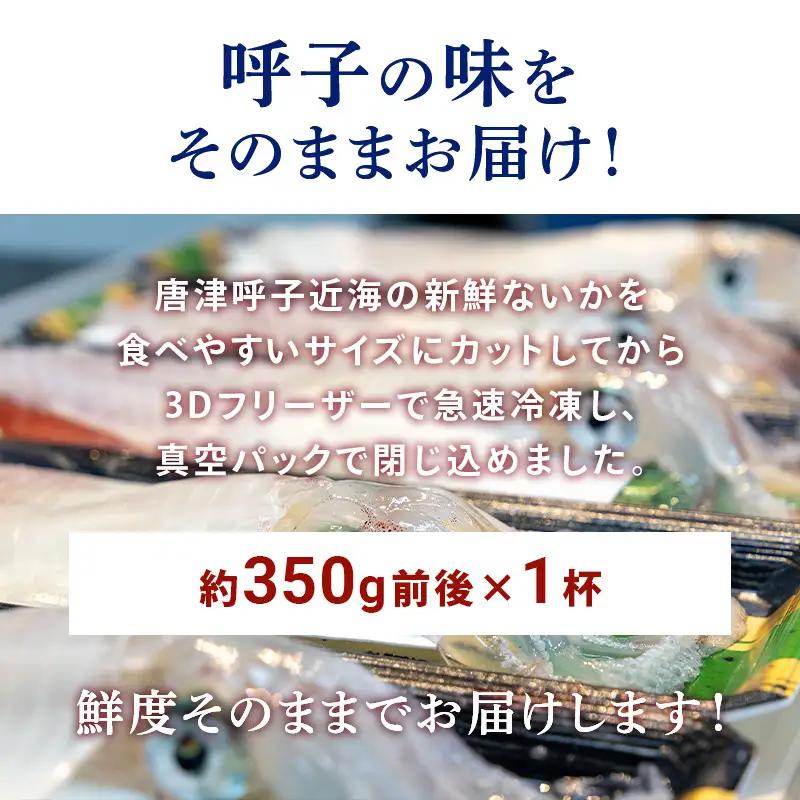 『先行予約』唐津呼子産いか活造り 1杯(約350g前後)  ※水揚げあり次第7月以降順次発送させていただきます。