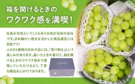 2025年発送 訳あり 約1.5㎏ SDGs シャインマスカット 山梨県産 国産 産地直送 人気 おすすめ 贈答 ギフト お取り寄せ フルーツ 果物 くだもの ぶどう ブドウ 葡萄 わけあり ワケアリ